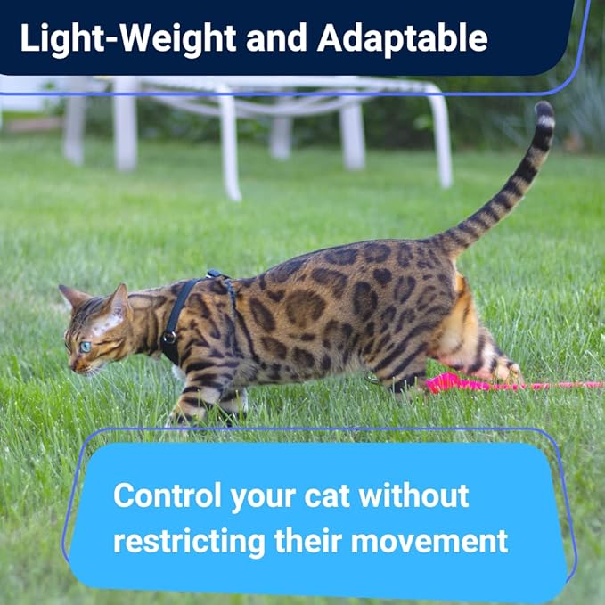 Cat Harness and Long Leash (14FT) - Escape Proof, Choke Free, Lightweight OutdoorBengal - Vest + Black Lead for Walking Cats (M)