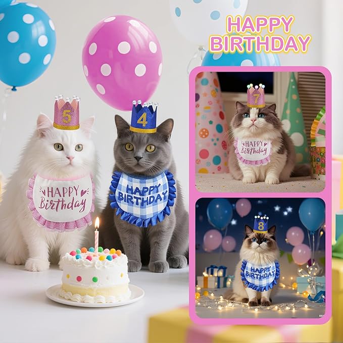 Cat Birthday Hat with Bandana, Light Up Party Outfit, Pink