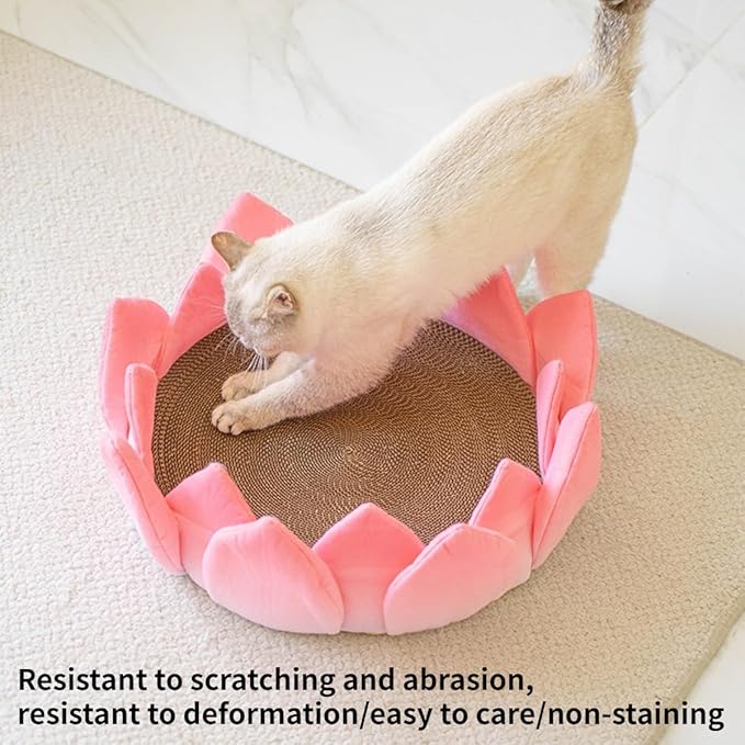 Scratching Board Toy Round Scratching Pad Anti-Scratch Post Corrugated Paper Lounge Bed Scratch Board for Boredom Interactive Toy Nest Bed Pet Supplies for Cats Furniture (Nest with Accessories)