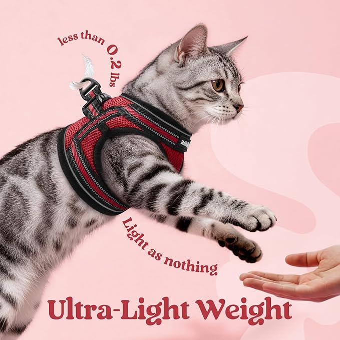 rabbitgoo Cat Harness and Leash Set for Walking Escape Proof, Adjustable Soft Kittens Vest with Reflective Strip for Cats, Comfortable Outdoor Vest, Red, S