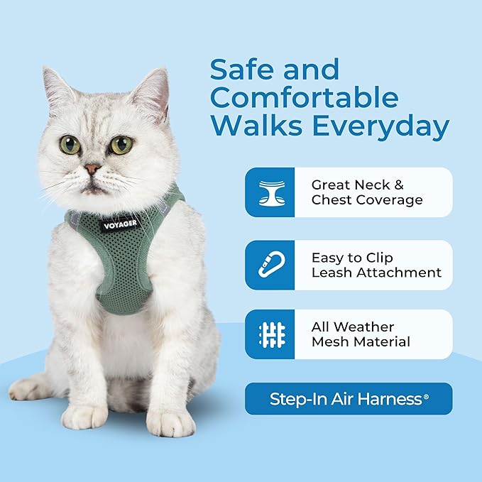 Voyager Step-in Pet Harness - All Weather Mesh, Adjustable Step in Harness for Cats and Dogs by Best Pet Supplies - 307 Set Moss Green, XXXS