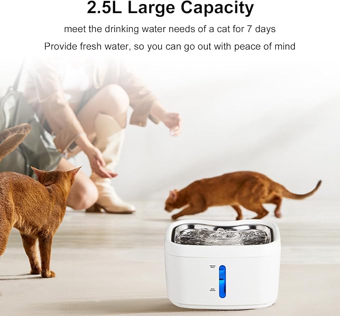 Brrnoo Cat Water Fountain Stainless Steel - 87oz/2.5L Pet Drinking Fountain for Cats Indoor - Automatic Cat Watering Dispenser Bowl with Water Level Window - Quiet for Cats & Dogs (B)