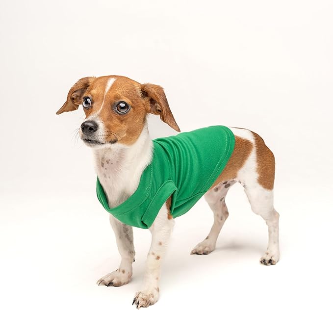 Birthday Vibes Only Dog Tee Shirt | Sleeveless Breeds | Birthday | Party | Celebration |Green, Large 1613