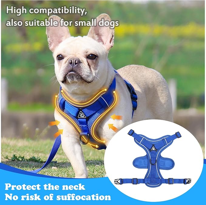 Escape Proof Kitten Harness and Leash Set - Adjustable Soft Mesh Vest for Small Cats, Reflective Breathable Walking Harness with 4 Buckles
