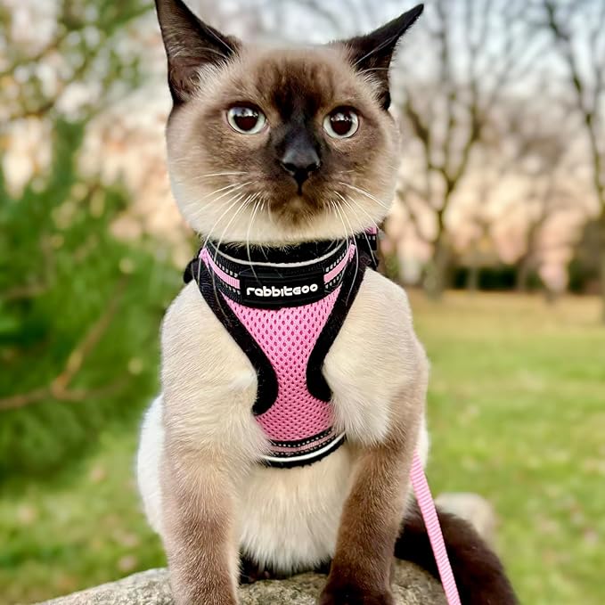 rabbitgoo Cat Harness and Leash Set for Walking Escape Proof, Adjustable Soft Kittens Vest with Reflective Strip for Cats, Comfortable Outdoor Vest, Pink, L