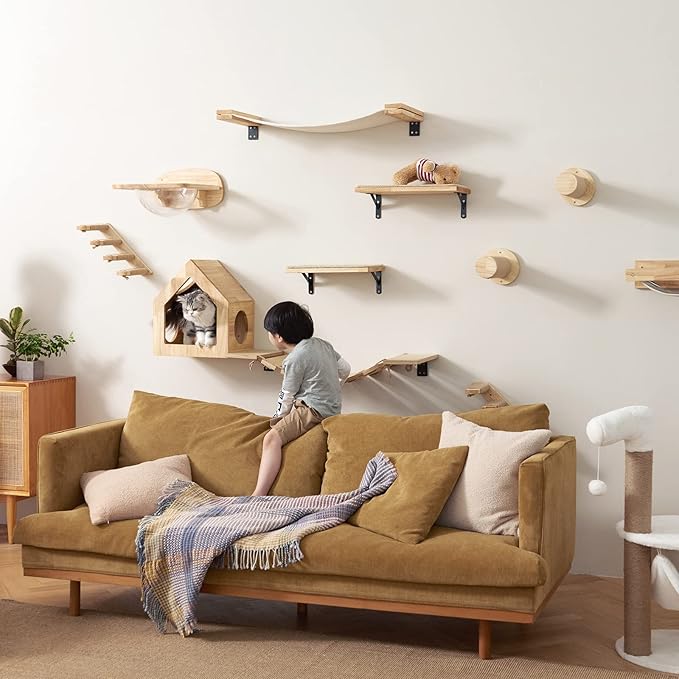 FUKUMARU Cat Wall Furniture Set, Transparent Capsule Kitten Walls Shelves with 2 PCS Pedals - Premium Kitty Bed for Sleeping, Playing, Climbing, and Lounging - Easily Holds Up to 35 Lbs