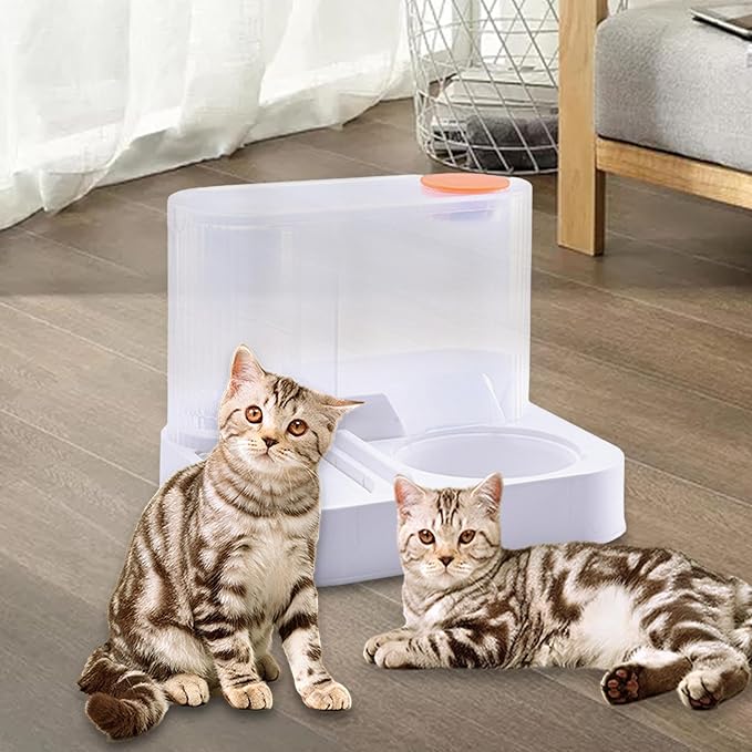 Pet Food and Water Station for Cats and Dogs, Feeder and Dispenser, Basic