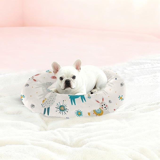 Bohemian Pet Beds for Cats and Cats Flame Design Teal for Medium Sized Pets Sleeping Beds and Dog Furniture