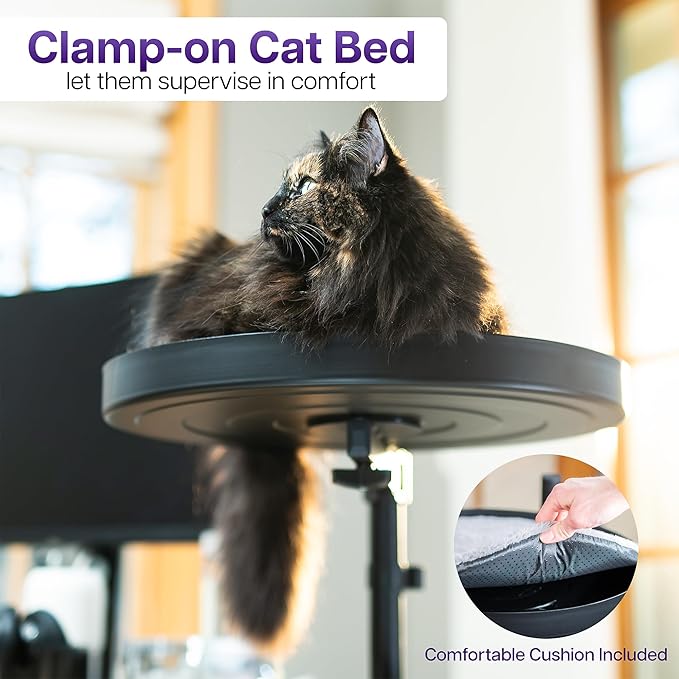 Life Finds Clamp-on Round Cat Bed for Home Office Desk, Height Adjustable Circular Kitty Perch with Full Rotation, Holds 44 lbs, Black, LF-CCB1