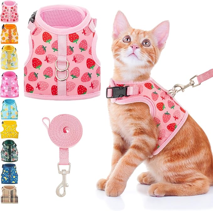 BINGPET Cat Harness and Leash Set Escape Proof, Fashionable Adjustable Mesh Harness for Walking, Soft Cute Breathable Easy Control Cat Vest for Kitten Puppy Small Medium Large Cats
