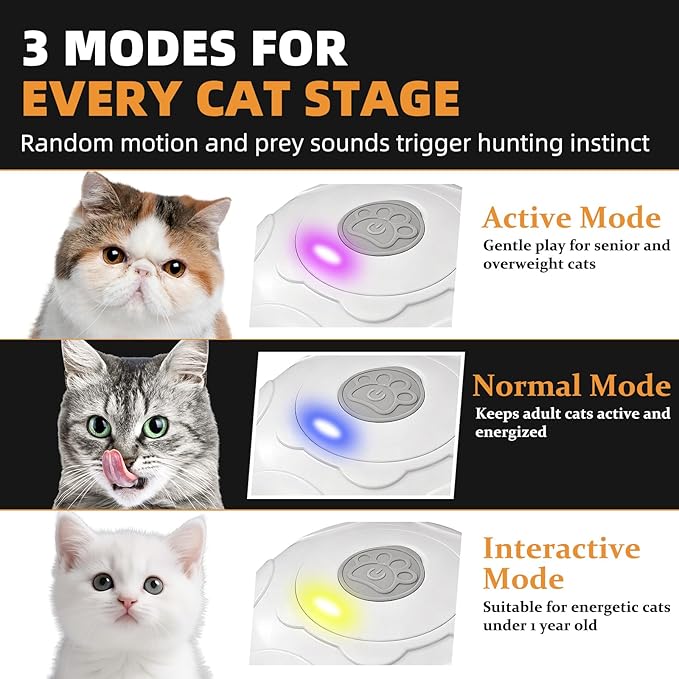 Interactive Cat Toy, Peek-a-Boo Series – Hidden Feather Wand, Rechargeable Indoor Hunting Toy, Squeaky Bird Sound, and Small Fish Pattern Cover
