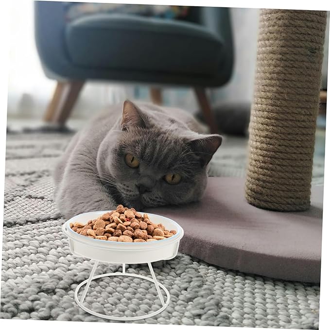 Abaodam Elevated Ceramic Cat Bowl Kitten Slow Feeder Pet Food Dish for Indoor Cats
