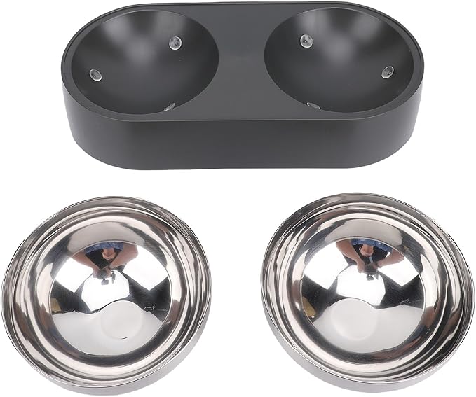Focket Elevated Cat Bowls, Tilted Anti Vomiting Raised Cat Food and Water Bowls with Stainless Steel for Small Cats Puppies