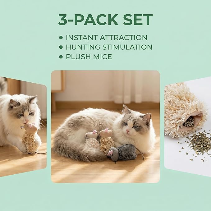 Ciieeo 3pcs Refillable Catnip Cat Toys for Indoor Cats & Kittens Plush Interactive Teething Chew Toy Mouse Shaped Catnip Pillow Assorted Colors