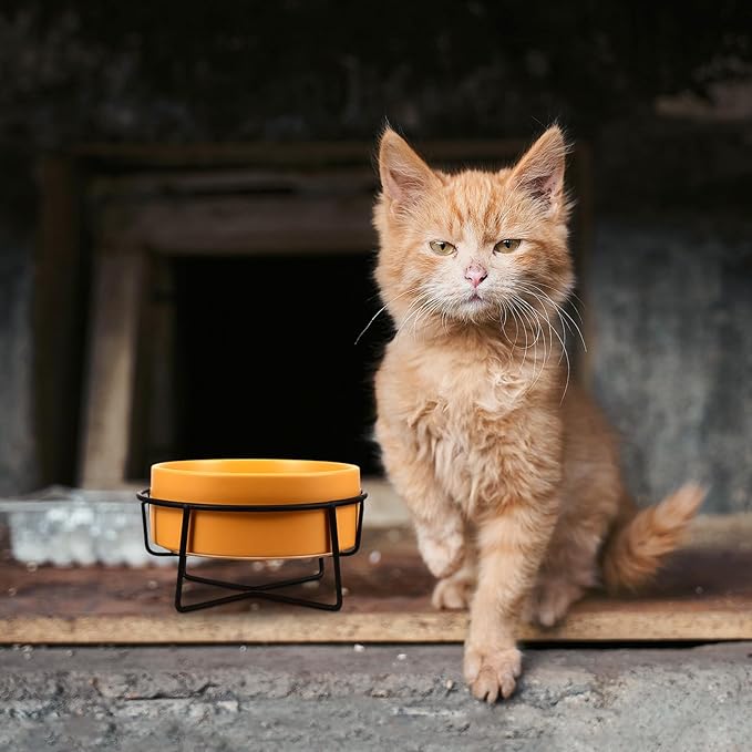 PRETYZOOM Ceramic Pet Feeder Bowl with Elevated Black Iron Stand, 14cm Yellow Cat and Dog Bowl for Spine Protection, Raised Feeding and Watering Dish for Small Pets
