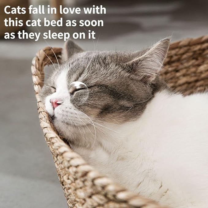 Cat Bed, Straw Woven Cat Baskets Bed, Round Wicker Cat Basket Nest, Non-Slip Cozy Kitten Bed for Cats Small Dog (with Cushion,Small)