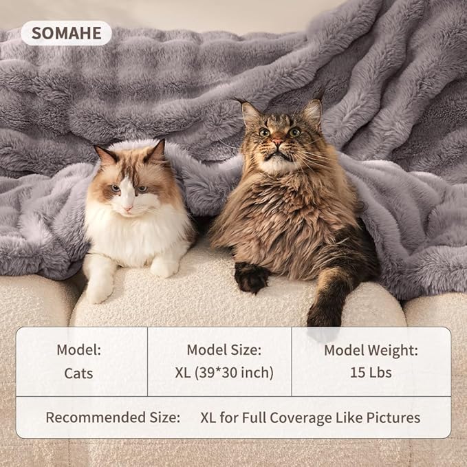 SOMAHE Cat Blanket, Reversible Sherpa & Bubble Fleece Pet Throw, Ultra-Soft Plush for Indoor Cats, Machine Washable, Anti-Static, Warm & Cozy, 22"×18" Inch Gray