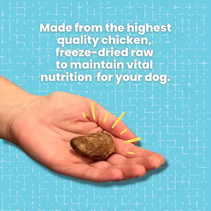 Hotspot Pets Freeze Dried Chicken Hearts for Cats & Dogs- 1LB Bag (300+pcs) USA Made, Healthy Single Ingredient All Natural Grain Free- Resealable -Perfect for Training, Topper or Snack, Allergen-Free