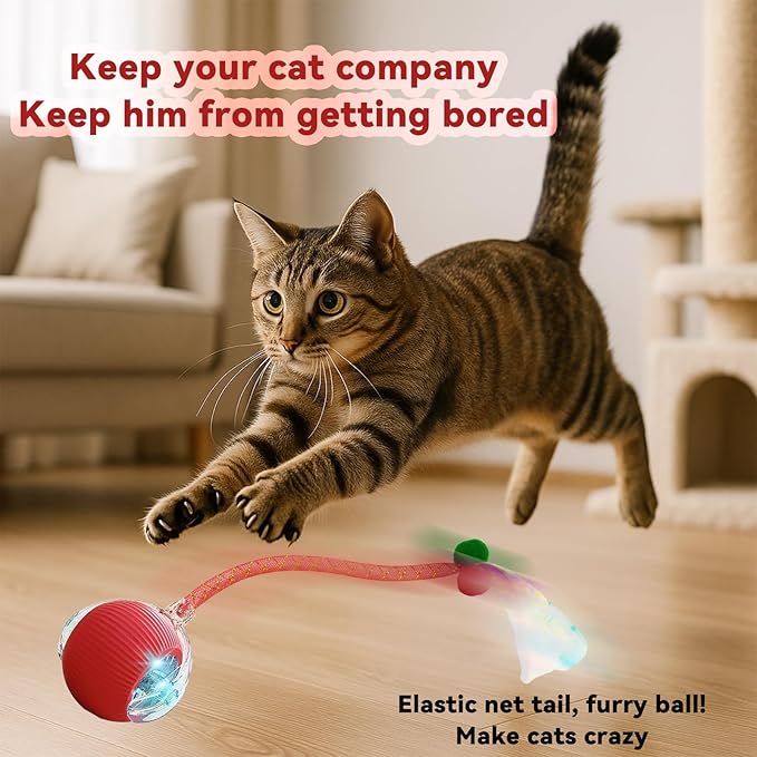 Speedy 2.0 Tail Interactive Cat Toys for Indoor Cats, Automatic Cat Toy with Elastic Mesh Tail, Electric Rolling Ball on Carpet, Chirping and Motion Activate Cat