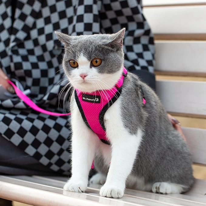 Mr. Peanut's PurrTrek Reflective Cat Harness with Matching Leash (Small, Pink)