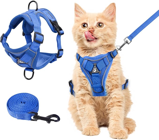 Wanheart Summer cat Chest Harness and Leash, Anti-Escape Adjustable Soft mesh cat Leash and Chest Harness Set for All Types of Cats cat Vests (Royal Blue, S:3.3-6.6lb)