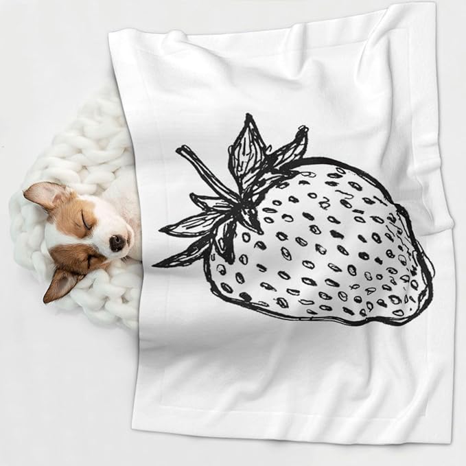 Cat Dog Blanket Hand-Drawn Strawberry Black Lines Abstract Ultra Soft Warming Mat for Indoor Pet Beds Furniture 27.6 X 19.7inch