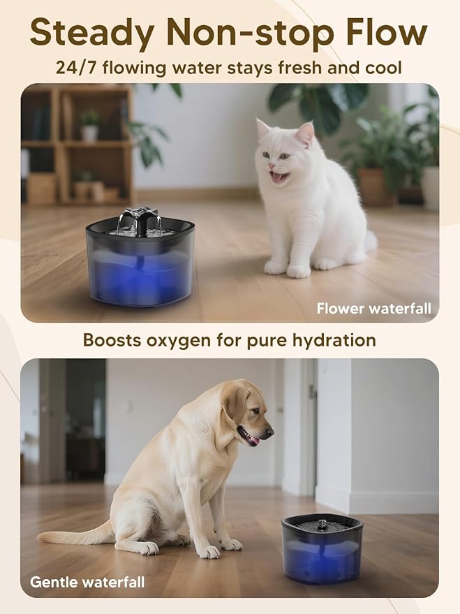 Automatic Cat Feeder and Water Fountain, 4L/16 Cups Timed Cat Dry Food Dispenser, 10s Meal Call, 20 Portions 6 Meals Per Day, 2L Cats Fountains for Drinking with Filter, Pet Feeder for Dog