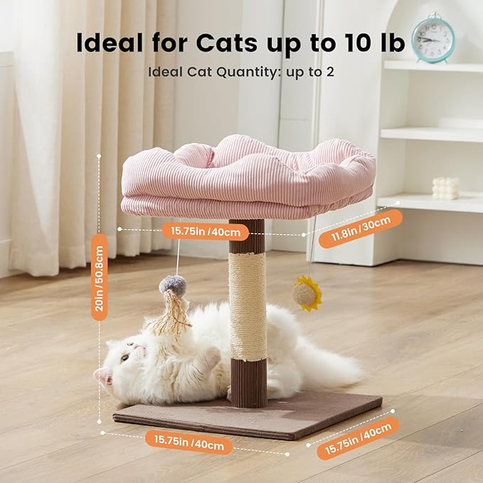 Gardner Pet 20" Cat Tree Corduroy, Solid Wood Small Cat Tree for Kittens & Indoor Cats (Brown, Square-Corduroy)