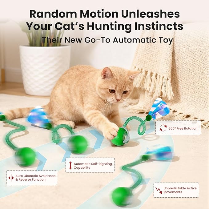 Rocfish Cat Toys, Cat Toys for Indoor Cats, Cat Toys Interactive, 360° Rotating Automatic Interactive Cat Ball, Smart Activation, LED Light, Type-C Rechargeable, 3 Replaceable Dragonfly Tails (Green)
