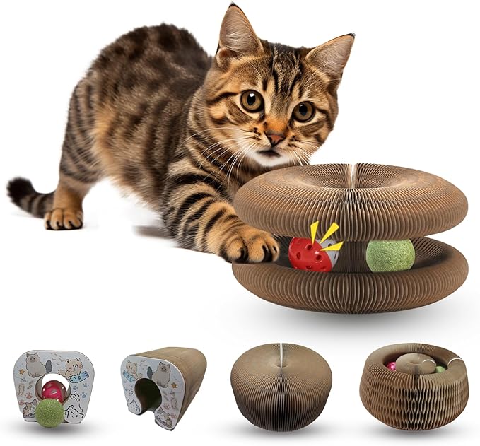 Magic Organ Cat Scratch Toy Kitty Kurlz Cat Toys with Bell and Catnip Balls Cat Puzzle Toy Foldable and Changeable Shape Cat Toy Accordion Ultimate Interactive Kitten Toys for Indoor Cats