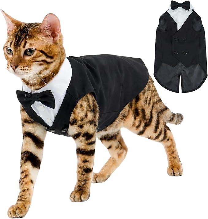 QBLEEV Cat Tuxedo Outfit, Sphynx Cat Costume for Cats Only, Formal Kitten Clothes Attire Suit with Bow Tie, Stylish Birthday Wedding Party Photo Shoots Costume for Male Female Cats, S, Black