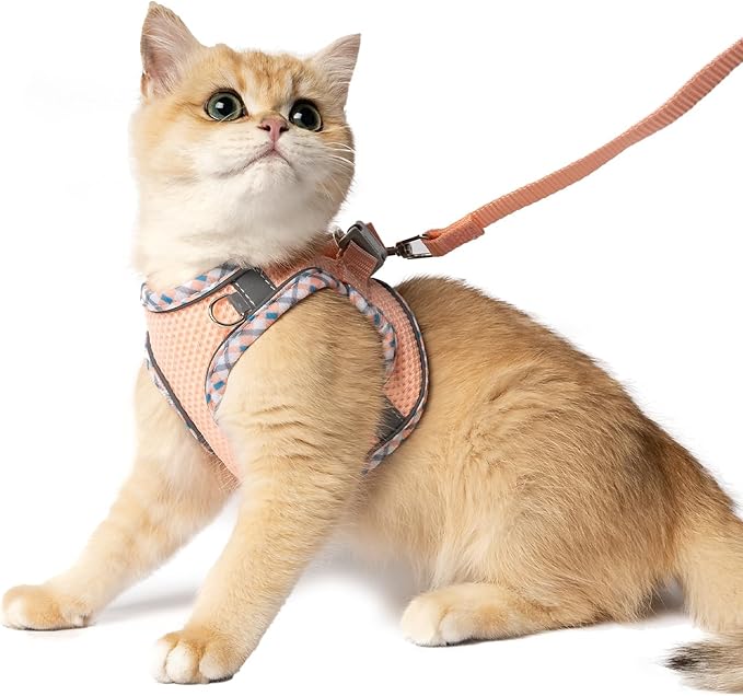 Cat Harness and Leash Set - Breathable Mesh Vest with Reflective Strips, Escape-Proof Harness with No-Choke Design Secure Lock Buckles for Kittens or Puppies, XS Pink(Fits 3-7 lbs Kittens)