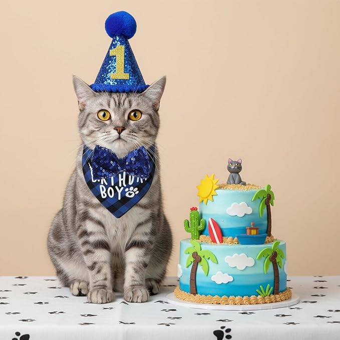 Xindojuz 1 Set Cat Birthday Hat Decorations, Adjustable Cat Birthday Hat with Number Bow Tie Bandana Collar for Cats Dogs Pet Kittens Apparel Christmas Party Outfits Supplies (Blue)