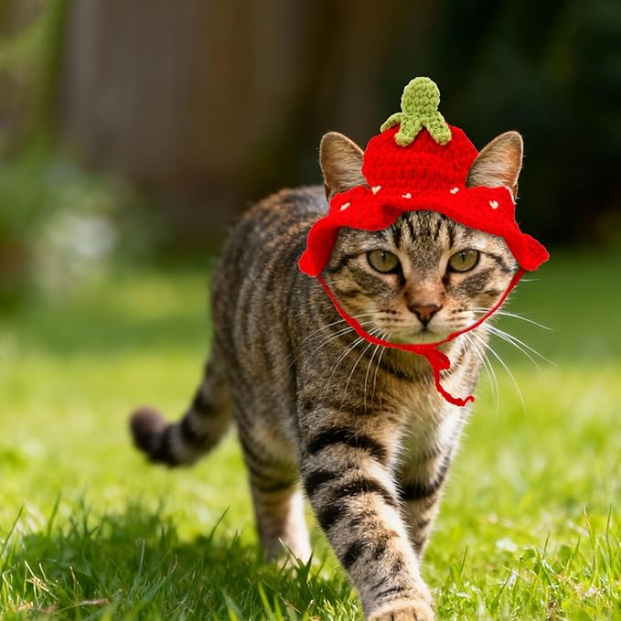 Knitted Hats for Cats, Adorable Crochet Kitten Cap Soft Pet Costume Headwear Small Knit Cap Decor for Dog Cat Kitten Puppy Holiday Photo Sessions & Celebration Decor (Strawberry Style)