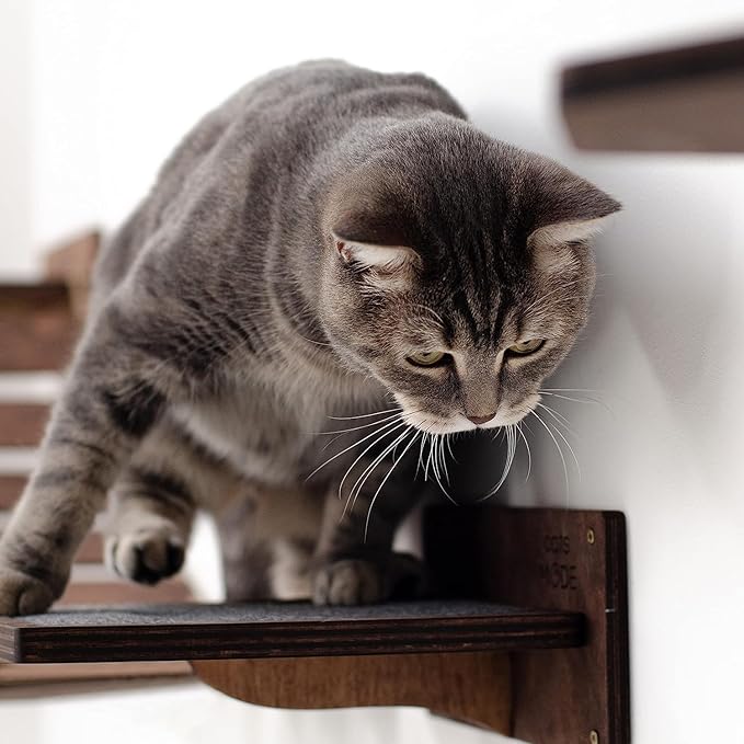 Wood Cat Bridge Cat Steps Cat Bed Wall Cat Toy Rustic Cat Tree Wall Decor Cat Lover Gift New Home Gift Cat Furniture Wall (Dark Walnut, Bridge)