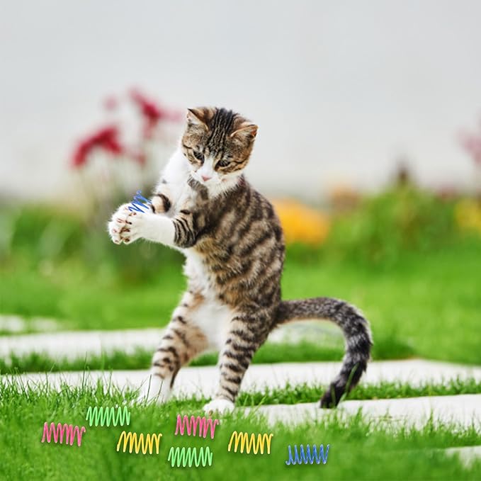 KIMOBER 32PCS Cat Spiral Spring,Colorful Plastic Cat Creative Toy Interactive Cat Toy Spiral Springs for Indoor Cats Kittens to Swat, Bite, Hunt Kitten Toys