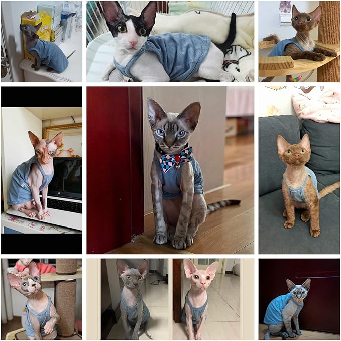 Hairless Cats Solid Cotton Camisole, Breathable Summer Tank Tops for Sphynx, Cornish Rex, Devon Rex, Peterbald, Cat Wear Hairless Cat Clothes Soft Skin-Friendly Cats Apparel Assorted Colors and Sizes