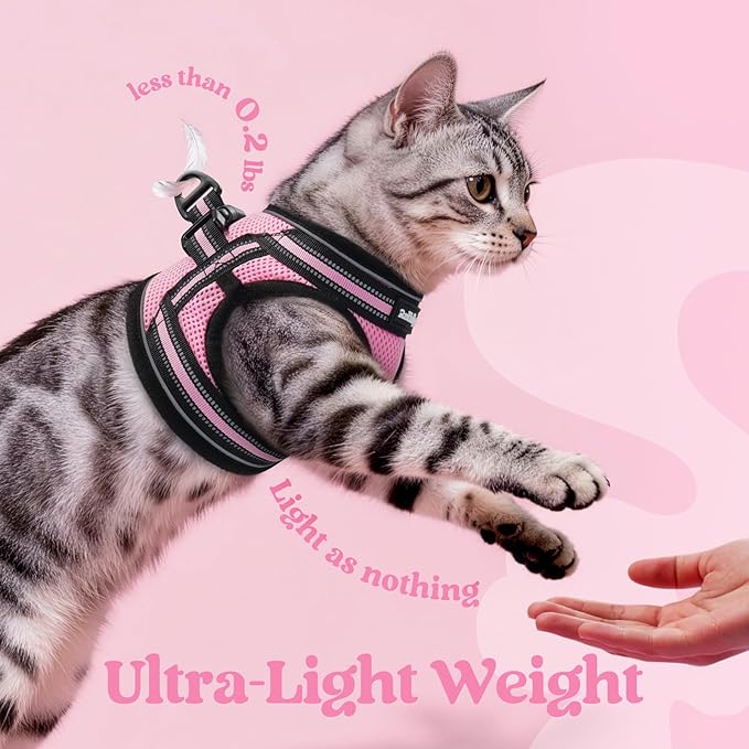 rabbitgoo Cat Harness and Leash Set for Walking Escape Proof, Adjustable Soft Kittens Vest with Reflective Strip for Cats, Comfortable Outdoor Vest, Pink, S
