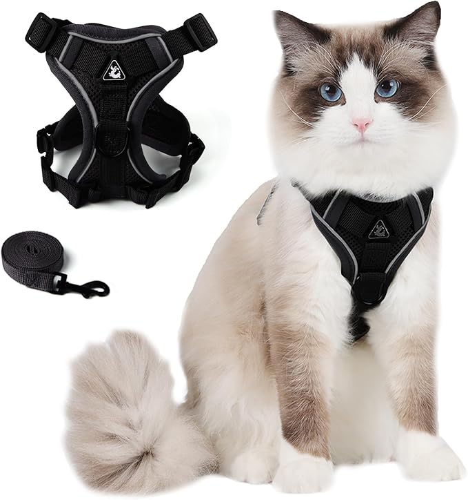 Cat Harness and Leash Set for Small Cat Kitten, Escape Proof Adjustable Vest with Lead, Soft Breathable Mesh with Reflective Stripes for Night Outdoor Walking(S, Black)