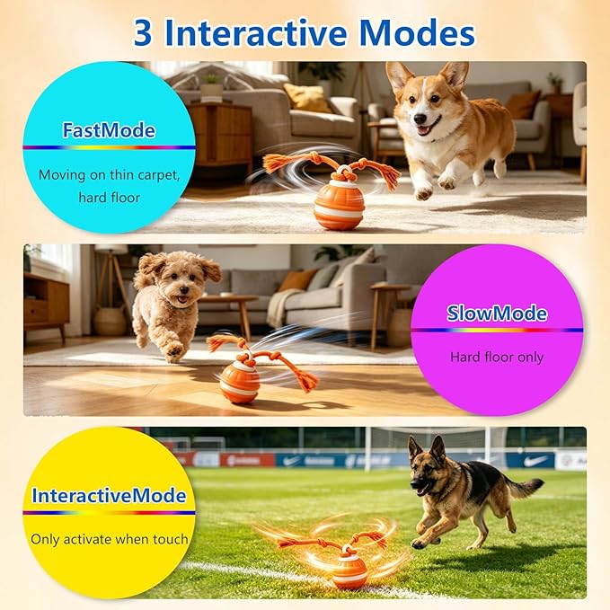 Interactive Dog Ball, 360° Self-Moving Dog Toy with LED Lights & Squeaker, Automatic Fetch Toy for Boredom & Training, USB-C Rechargeable Smart Pet Toy for Small Medium Dogs & Cats