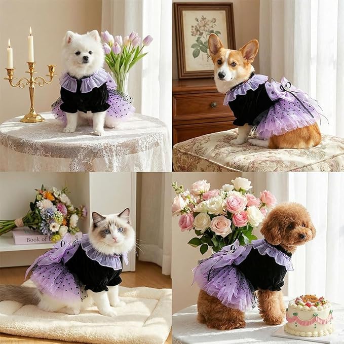 Dog and Cat Butterfly Princess Lace Tutu Dress, Dog Girl Set, Kitten Chihuahua York Pomeranian Pet Clothing (Purple-Bow, X-Small)