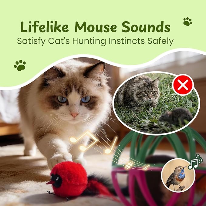 Cat Toys for Indoor Cats - Interactive Ball Cage Cat Toy with Realistic Bird Sounds & 2 Catnip Plush Toys, Motion-Activated Hunting Simulation Toy for Cats
