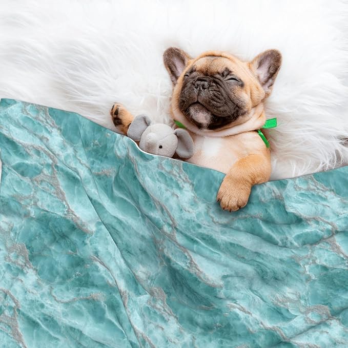 Cat Dog Blanket Turquoise Marble Smooth Polished Stone Texture Ultra Soft Warming Mat for Indoor Pet Beds Furniture 27.6 X 19.7inch
