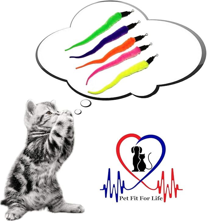 PET FIT for Life 5 PIECE SQUIGGLY Worm Wand CAT Toy