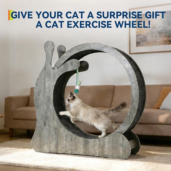 Cat Wheel Exerciser for Indoor Cats, 41'' Large 3-in-1 Cat Treadmill with Scratching Board and Play Balls, Quiet Cats Running Wheel for Kitty Fitness Grey