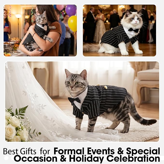 QBLEEV Cat Tuxedo Outfit, Formal Cat Suit Costume with Bow Tie, Sphynx Hairless Clothes for Cats Only, Kitten Wedding Birthday Party Attire Apparel for Male Boy, Cute Small Pet Gentleman Formal Wear