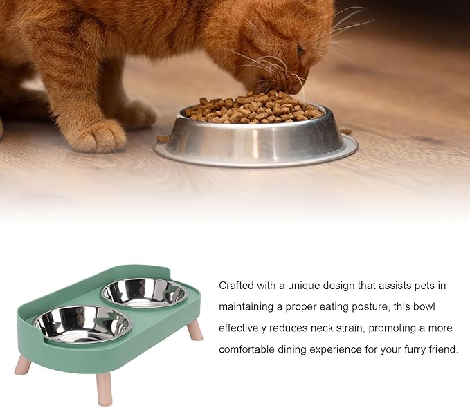 AYNEFY Elevated Cat Bowl,Tilt Proof Stainless Steel Integrated Double Elevated Pet Water Food Bowl Raised Cat Food and Water Dish for Cats and Small Dogs (Avocado Green)