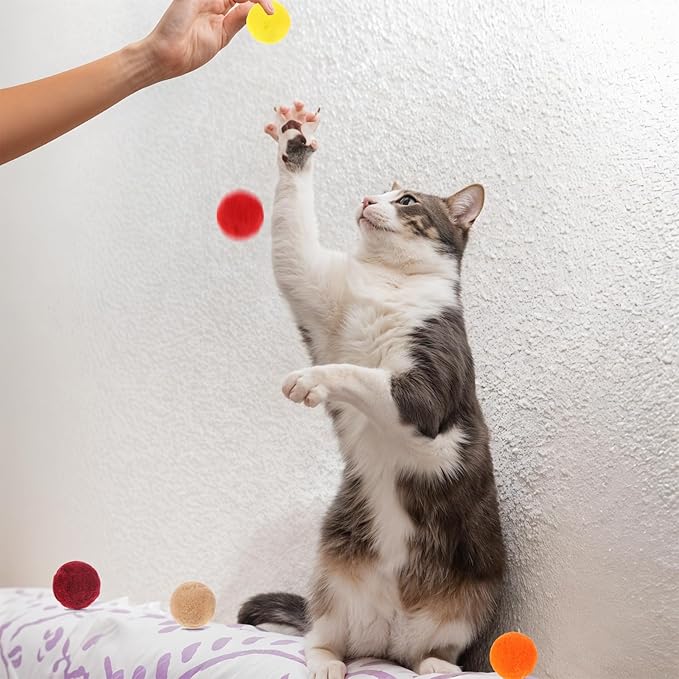 Xthrotsenk 100 Pcs Cat Toy Balls 1-inch Colorful Cat Pom Pom Balls Soft Interactive Kitten Ball Cats Exercise Toys Fuzzy Kitten Interactive Playing Quiet Toy for Cats Pet(2.5 cm)