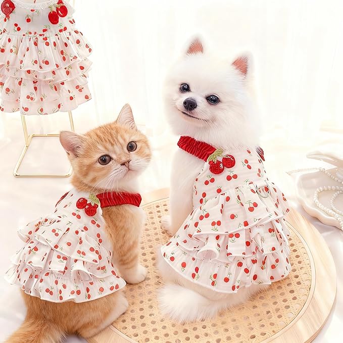 pet Clothes for Dog cat Sweet and Cute Girl (Large)