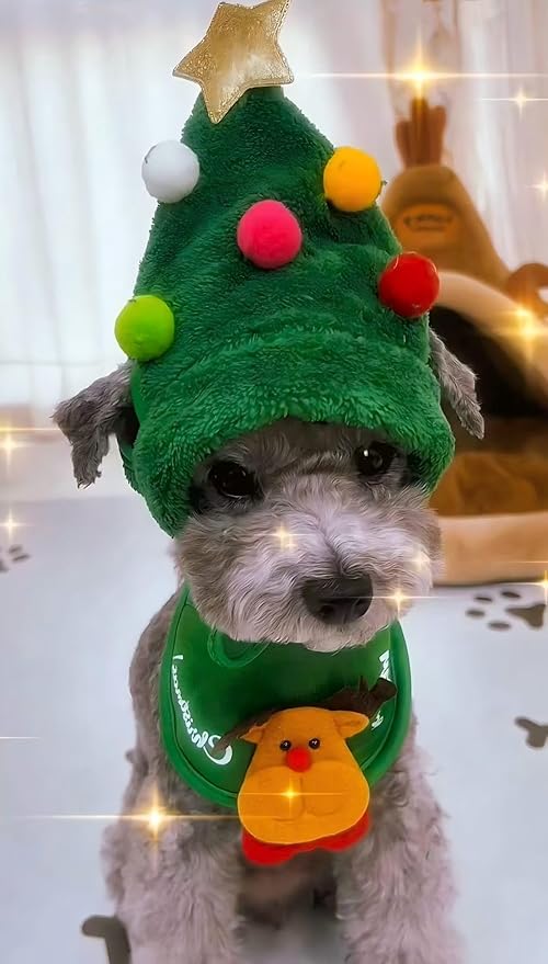Christmas Tree Hat & Bib Set for Pets, Adjustable Dog Cat Costume with Pom-Pom for Xmas Party & Photos(S)